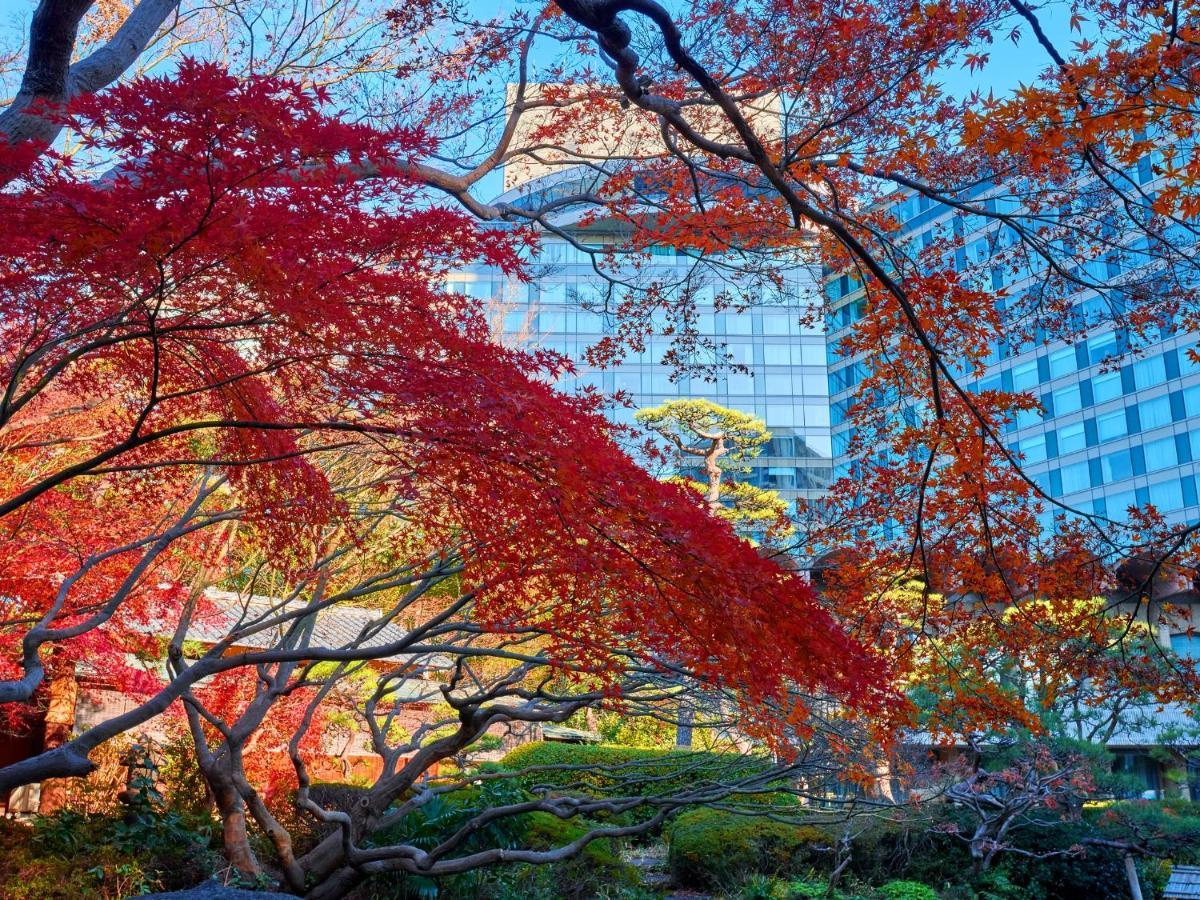 Hotel New Otani Tokyo The Main Esterno foto Autumn at the University of Tokyo
